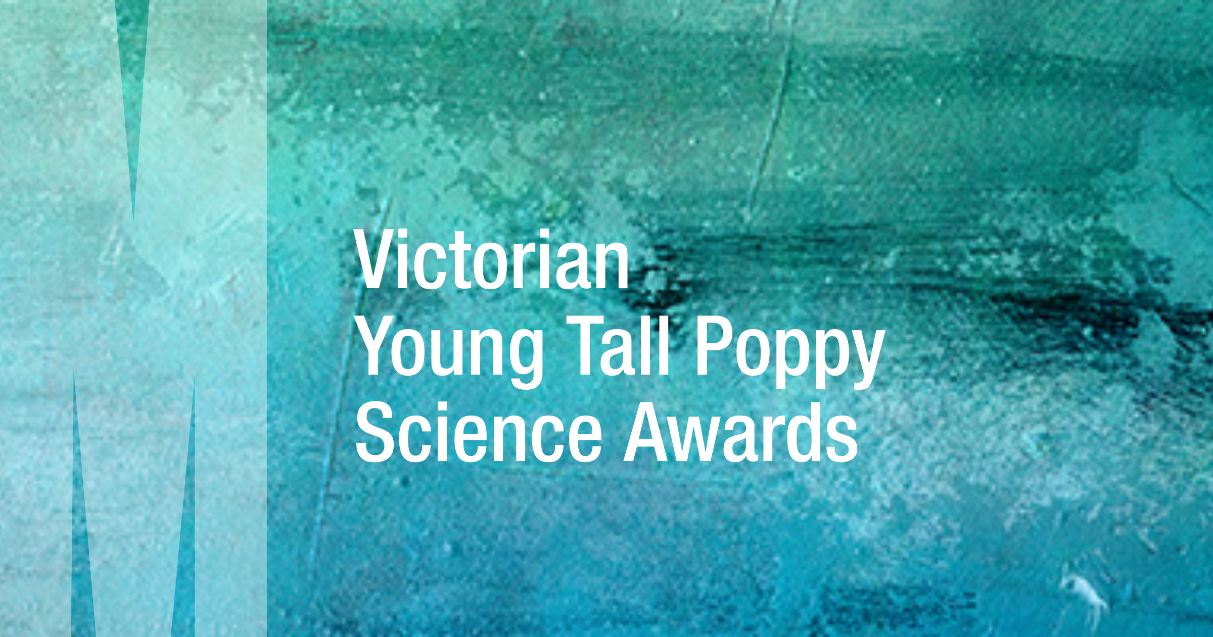Recipient A/Prof Adrienne O’Neil 